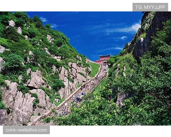 山东泰山豪门地位稳定性面临考验,持续竞争与走势变化引发关注 山东泰山豪门地位稳定性面临考验,持续竞争与走势变化引发关注