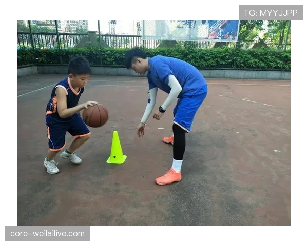 篮球规则解析：连续动作判定的认定要素与标准