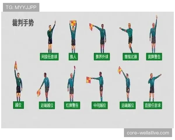 裁判手势在足球比赛中的标准含义与判罚指示解析